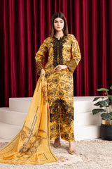 Gulshan-e-Noor
